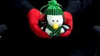 Crunchy Penguin - ASMR