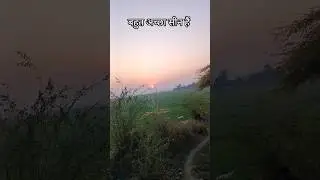 vlog #2026 #trending #shortvideos #viral #farming #grow #vlog #lucknow #up