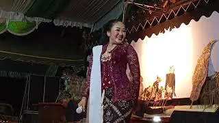 Rec #009 Wayang Kulit Dalang KGBH ADIPATI BENOWO , Lokasi DS. Mrahu Kartoharjo Magetan