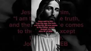 John 14:6 WEB #bible #verse #shorts #Jesus