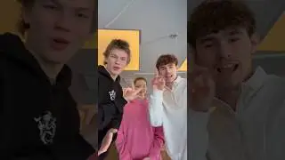 Тренды 