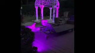 9 Watt Garten LED Strahler RGB+CCT