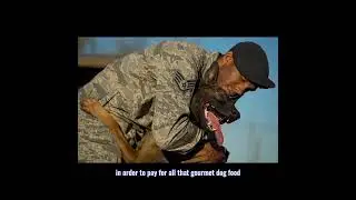 10 things dogs hate and wish you'd stop doing...