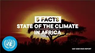 State of Climate in Africa: New Report Warns Hottest Decade on Record | United Nations