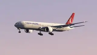 Aerofly FS Early Morning Plane ✈️ Spotting At Brussels International Airport 