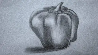 How to draw and shade a capsicum | bell pepper drawing | pencil sketch step by step Noufal's art