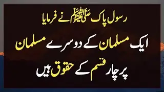 FARMAN E RASOOLﷺ | Hadith of the day | ایک مسلمان کے دوسرے مسلمان پر چار قسم کے حقوق ہیں