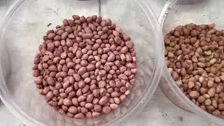 Pulse sorting