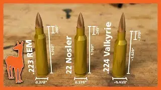 224 Valkyrie vs 22 Nosler vs .223 Remington: Wild Speculations!