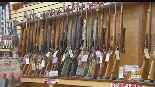 Local Gun Store Owners Say Firearm Sales Have Increased Before Election