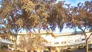 Betaflight 3.0.1 Emax 250 lb20 6040 oneshot Realacc RX5808 Foxeer Arrow 200mhz vtx fatshark dvd