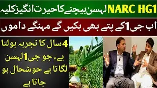 Narc G1 Garlic Seed Per Acre | G1 Garlic Seed Rate in Pakistan Today