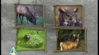Bull frog - Call of the Wild