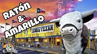 CHAVORRUCO EN RATON, NUEVO MEXICO