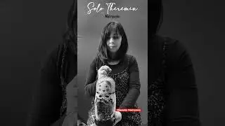 Solo Theremin (11) : #matryomin #theremin #theremine #japan #matryoshka