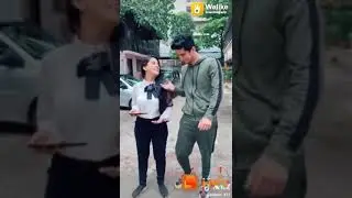 Dari pari ki tik tok