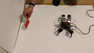 Quadruped Spider Robot - Object Detection and Object Tracking with Image Processing