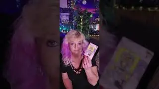 MissLadyTea Dogs don't bark at parked cars....#tarot #couchstyle #collective
