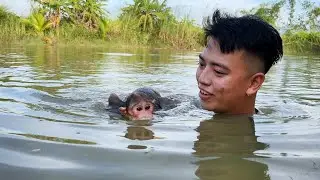 Monkey Luk's special pool😍! Luk and dad swimming performance