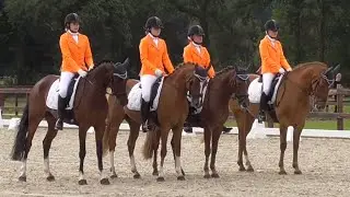 Kür op muziek viertal M-pony's Research Drive's Kasteelruiters - Drentse Kampioenschappen 13-8-2016