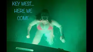 We visit 