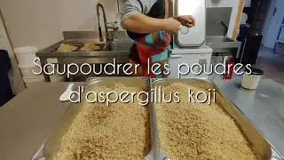 Recette de fabrication de Koji en France / How to make Koji / Koji maker SANGA