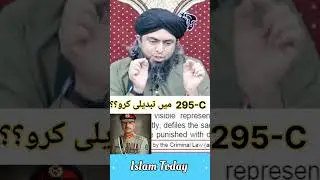 Change the law of 295-C? Engineer Muhammad Ali Mirza