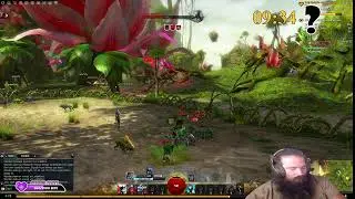 guild wars 2 shenannigans