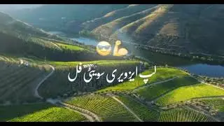 Excuse me song in pashto Music 