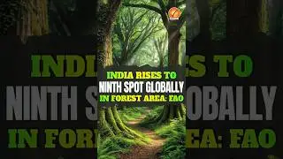 India rises to ninth spot globally in forest area: FAO