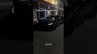 Which cat is cooler? #cat #tiktok #kitten #funnycats #cute #cutecat #cats #cattok #shorts