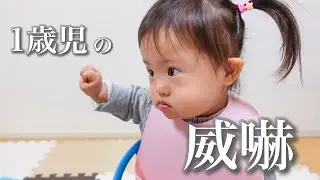 【ダウン症】全然怖くない威嚇を繰り返す1歳児がこの人です【ブチ切れ】