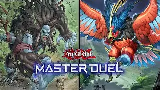 Yu-Gi-Oh! Master Duel Solo - The Danger Files Extra Loaners Paths