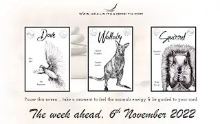 The week ahead: Psychic Energy Reading - 6 November 2022