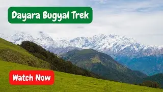 Dayara Bugyal Trek |Beginner high altitude trek |Himalayan Trek@Ssavarchies