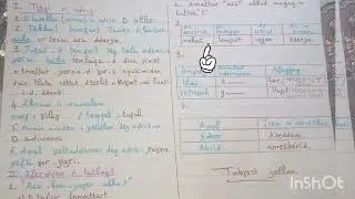 🚨 اختبار اللغة الأمازيغية للسنة الثالثة متوسط 🔥💣