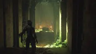 Anthem End of Life Week Stuff Stream 11