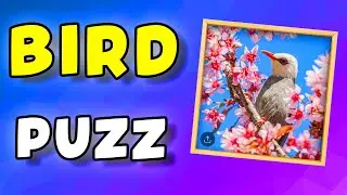 Puzzle for Kids, Bird Puzzle - Let's Play