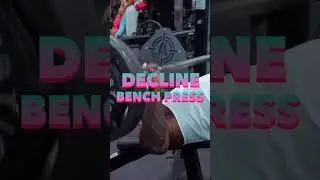 Beginners Bench Press Workout! #benchpress #beginners #mikerashid #shorts