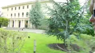 The Green MBA