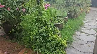 Indundaci&oacute;n en Salou por #lluviael&eacute;ctricas #rain