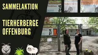 Sammelaktion Tierherberge Offenburg