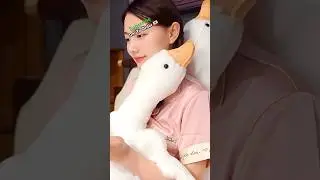 Adorable Goose Huggable Plush 🪿😍#goose #shopuniq #toys #plush #birds
