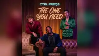 CTRL FREQS - The One You Need (Official Audio) | (Emotional R&B)