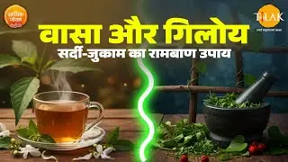 Vasaka: A Versatile Ayurvedic Herb | वासा के फायदे: त्वचा, हृदय और पाचन के लिए |