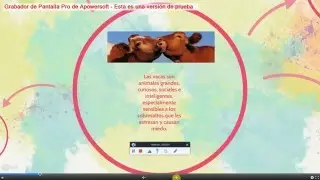 BEHIAK    pero como son!