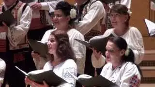 Gheorghe DANGA  - In poenita langa plop ...