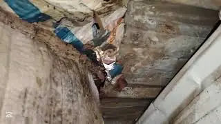 السلام عليكم شباب اليوم صباح 🌤امطار قويه وشوفو بامحميتنه صار شوفو