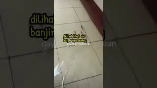 air banjir bening banget ikan kelihatan semua