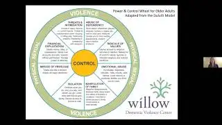 Domestic Violence: An Epidemic Within a Pandemic